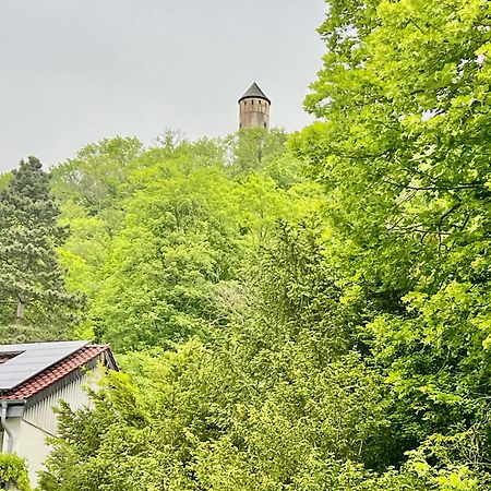 Villa Plesse Bovenden Екстер'єр фото